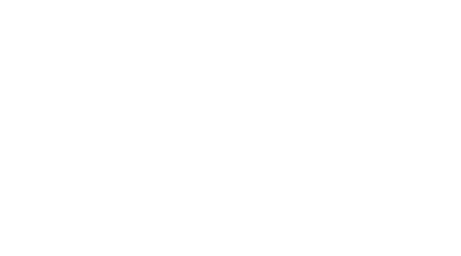 Stephan Bodzin logo